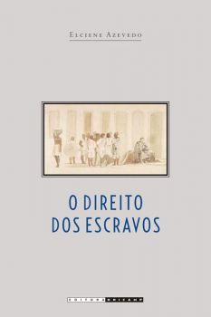 O direito dos escravos: lutas jurídicas e abolicionismo na província de São Paulo