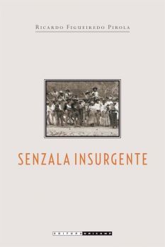 Senzala Insurgente: malungos, parentes e rebeldes nas fazendas de Campinas, 1832 