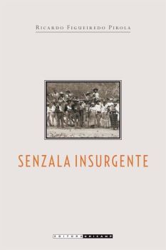 Senzala Insurgente: malungos, parentes e rebeldes nas fazendas de Campinas, 1832 