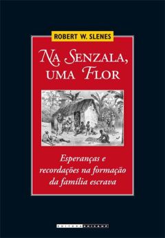 Na Senzala, uma Flor: esperanças e recordações na formação da família escrava