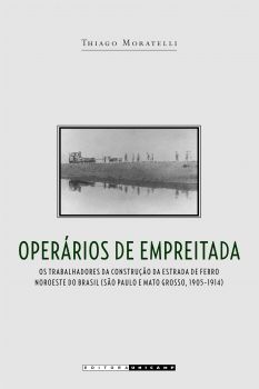 Operários de empreitada: os trabalhadores da construção da estrada de ferro Noroeste do Brasil (São Paulo e Mato Grosso, 1905-1914)