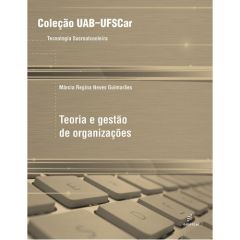 Teoria e gestão de organizações
